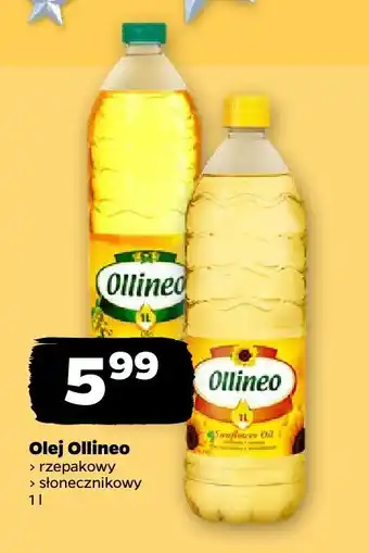 Netto Olej rzepakowy Ollineo oferta