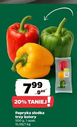 Netto Papryka słodka trzy kolory Netto oferta