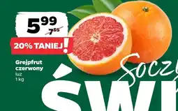 Netto Grejpfrut czerwony Netto oferta
