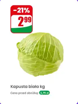 Dino Kapusta biała kg Dino oferta