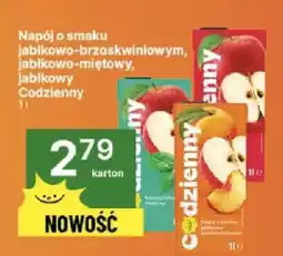Delikatesy Centrum Napój o smaku jabłkowo-brzoskwiniowym, jabłkowo-miętowy, jabłkowy Codzienny oferta