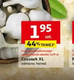 Auchan Czosnek XL oferta