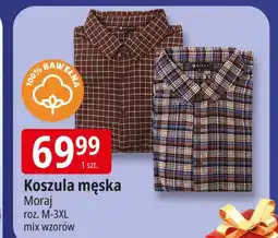E.Leclerc Koszula męska Moraj oferta