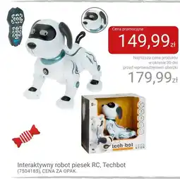 Smyk Interaktywny piesek oferta
