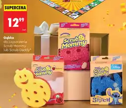Biedronka Gąbka Scrub Daddy oferta