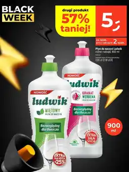 Dealz Płyn do naczyń Ludwik oferta