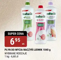 bi1 Płyn do mycia naczyń ludwik oferta