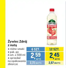 Makro Żywiec Zdrój z nutą oferta