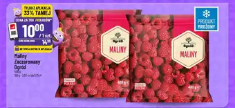 Polomarket Maliny Zaczarowany Ogród oferta