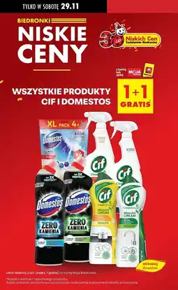 Biedronka Kostka do wc ocean Domestos Power5 oferta