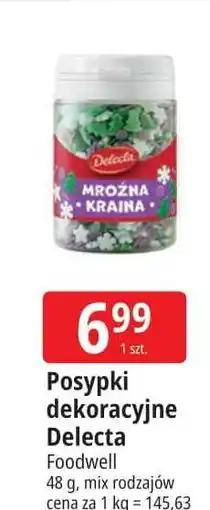E.Leclerc Posypka mroźna kraina Delecta oferta
