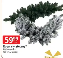 E.Leclerc Wieniec bożonarodzeniowy 15 cm Kwiatolandia oferta