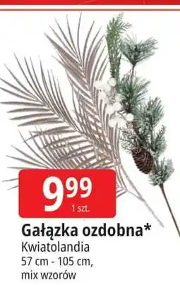 E.Leclerc Gałązka ozdobna Kwiatolandia oferta