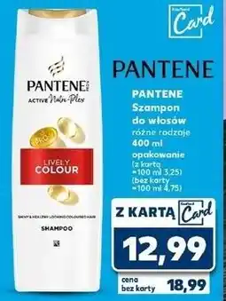 Kaufland Szampon do włosów lively colour Pantene Pro-V oferta