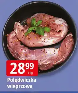 E.Leclerc Polędwiczka wieprzowa oferta