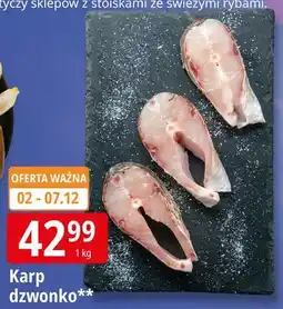 E.Leclerc Karp dzwonko oferta