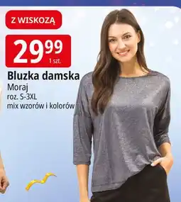 E.Leclerc Bluzka damska s-3xl Moraj oferta