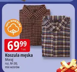 E.Leclerc Koszula męska m-3xl Moraj oferta