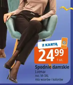 E.Leclerc Spodnie damskie m-3xl Lotmar oferta