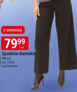 E.Leclerc Spodnie damskie Moraj oferta