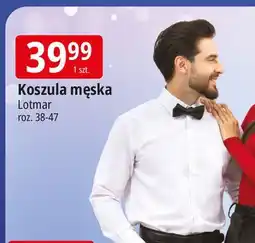E.Leclerc Koszula męska 38-47 Lotmar oferta