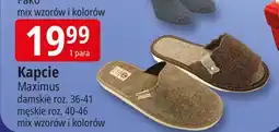 E.Leclerc Kapcie damskie Maximus oferta