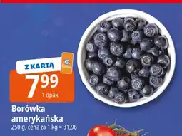 E.Leclerc Borówki amerykańskie oferta
