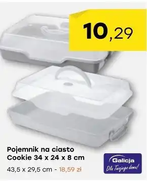 Patio Color Pojemnik na ciasto Galicja oferta