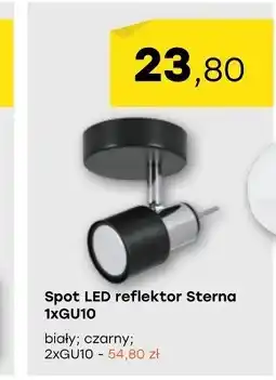 Patio Color Spot led oferta