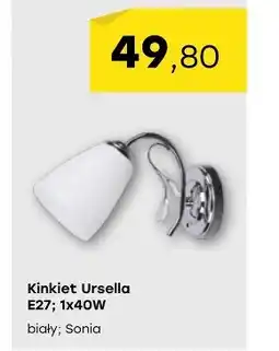 Patio Color Kinkiet E oferta