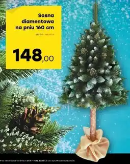 Patio Color Sosna oferta