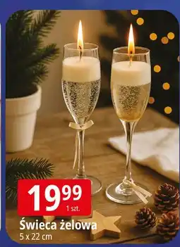 E.Leclerc Świeca żelowa 5 x 22 cm oferta