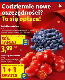 Lidl Borówki amerykańskie Lidl oferta
