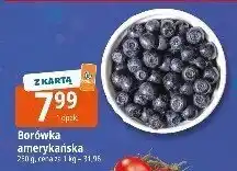 E.Leclerc Borówka amerykańska 250g Leclerc oferta