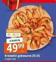 E.Leclerc KrewetkI gotowane 25/35 Leclerc oferta