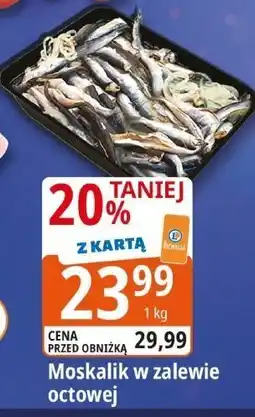 E.Leclerc Moskalik w zalewie octowej Leclerc oferta
