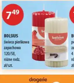 Drogerie Laboo BOLSUS Swieca pieńkowa oferta