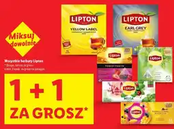 Lidl Herbata Lipton oferta