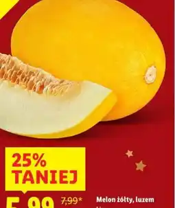 Lidl Melon żółty oferta