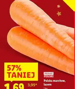 Lidl Polska marchew oferta