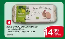 Selgros Jaja z chowu ekologicznego oferta