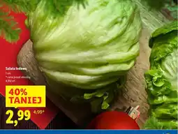 Lidl Sałata lodowa oferta