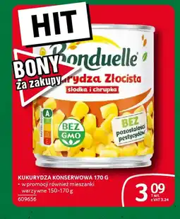 Selgros Kukurydza konserwowa oferta