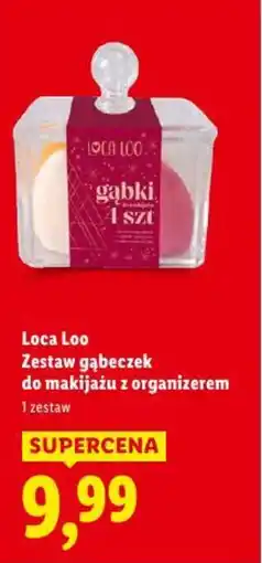 Lidl Loca Loo Zestaw gąbeczek oferta