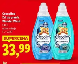 Lidl Cocolino Żel do prania Wonder Wash oferta