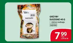 Selgros Grzyby suszone oferta