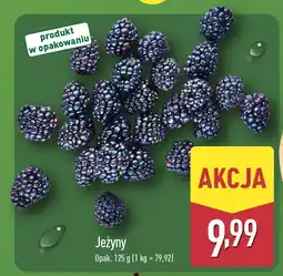 ALDI Jeżyny Aldi oferta