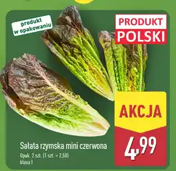 ALDI Sałata rzymska mini czerwona Aldi oferta