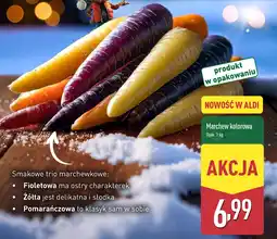 ALDI Marchew kolorowa Aldi oferta