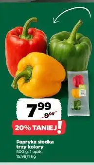 Netto Papryka trzy kolory oferta